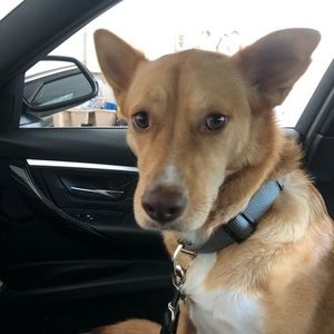 Meet your Posher, Hannie